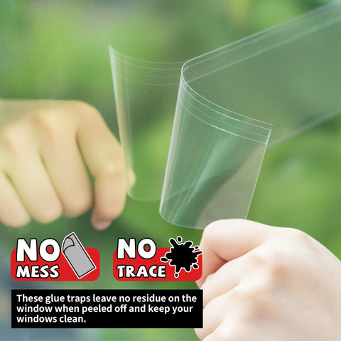 LULUCATCH sticky trap close-up shows ultra-strong adhesive.