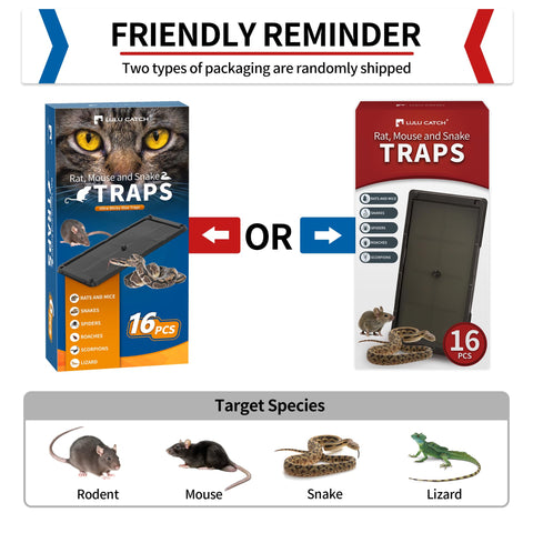 LULUCATCH glue trap close-up shows non-toxic adhesive for safe indoor use.