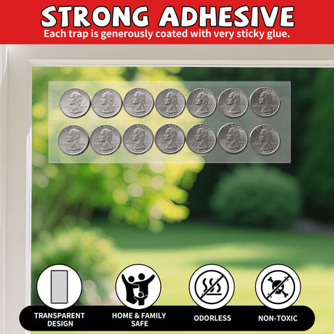 LULUCATCH window trap on glass captures flying insects effectively.