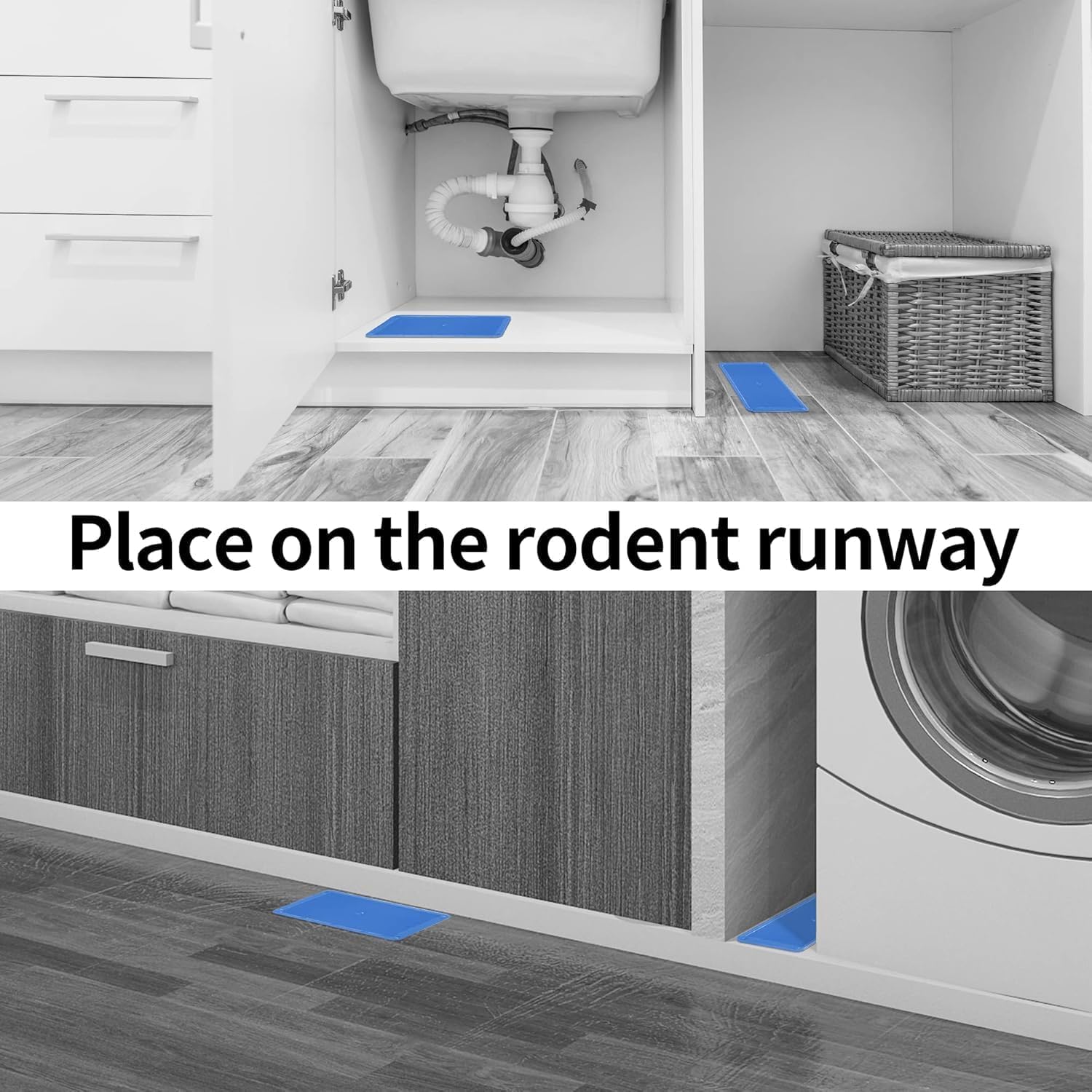 LULUCATCH trap placed along a wall for active rodent paths