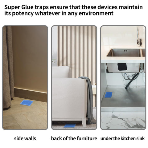 LULUCATCH traps for mice roaches crickets lizards cover multiple pests.
