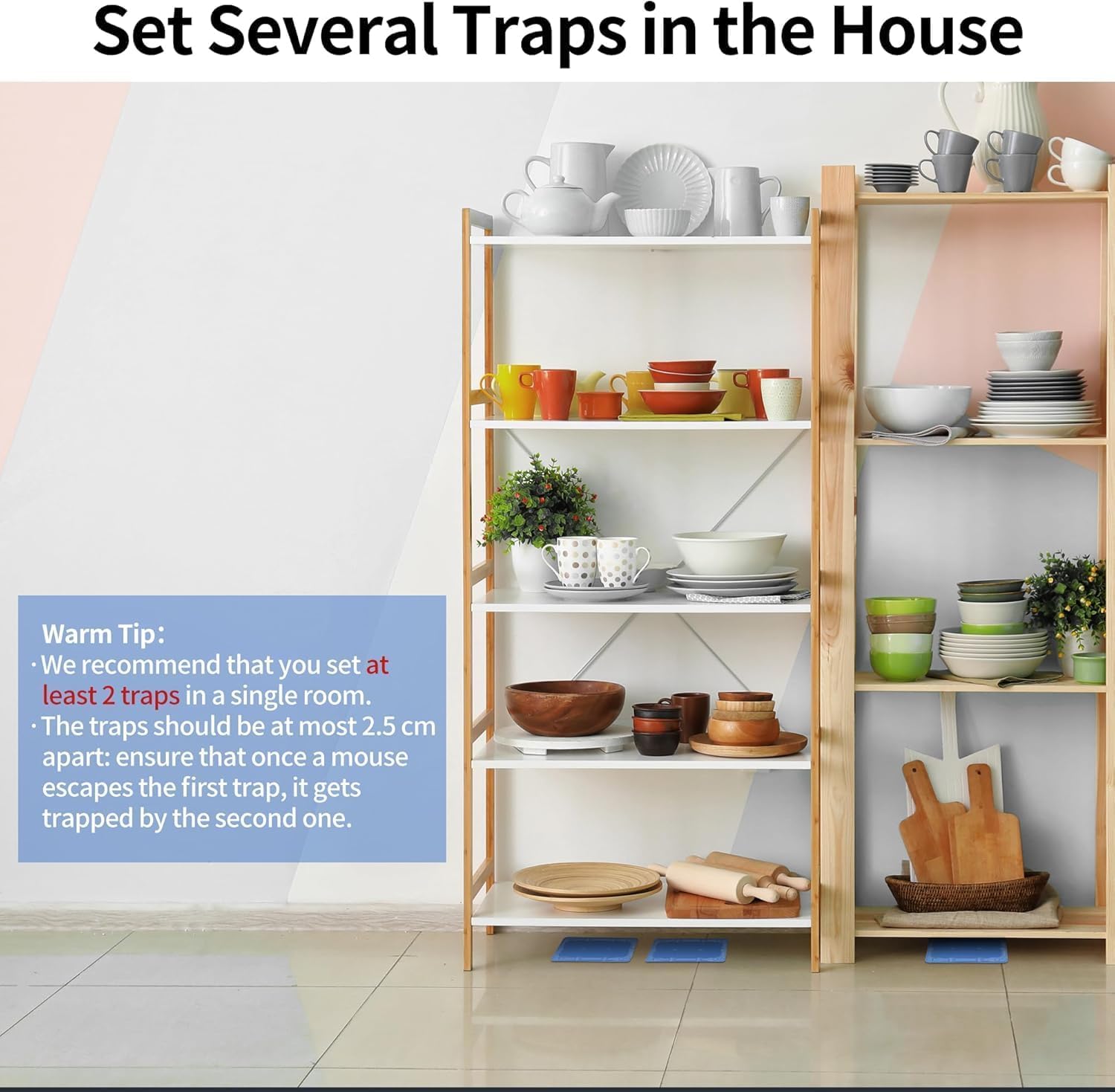 LULUCATCH indoor use traps suitable for basements and warehouses