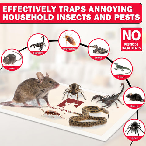 LULUCATCH versatile indoor pest control for mice and roaches