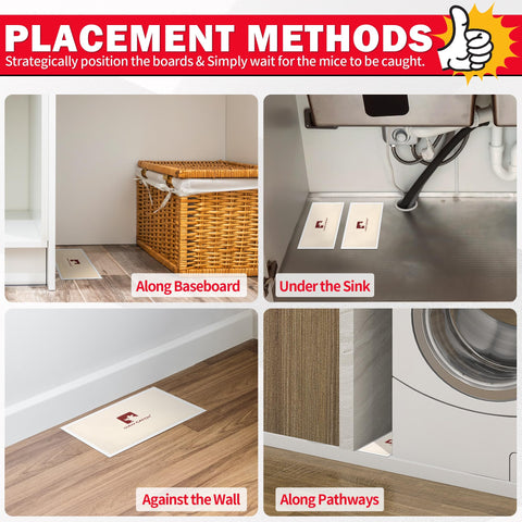 LULUCATCH versatile pest control traps catch multiple indoor pests