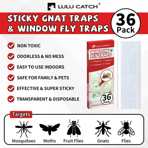 LULUCATCH Window Fly Trap on a window shows transparent, unobtrusive design.