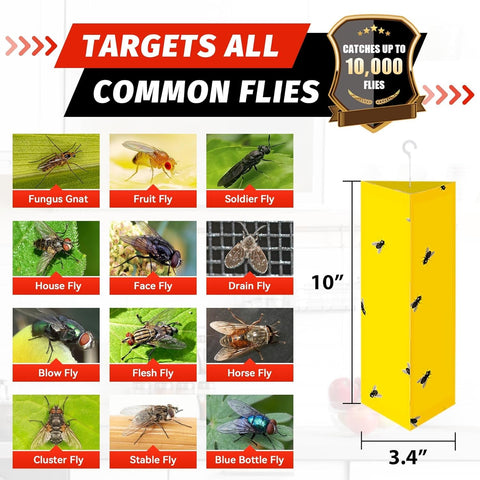 LULUCATCH yellow trap in room illustrates odorless, family-safe design