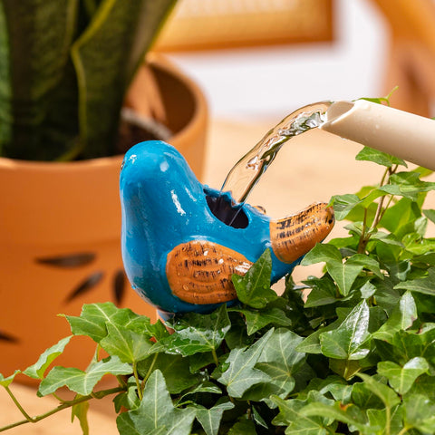 LumDecor self-watering spike in soil evenly distributes water to roots