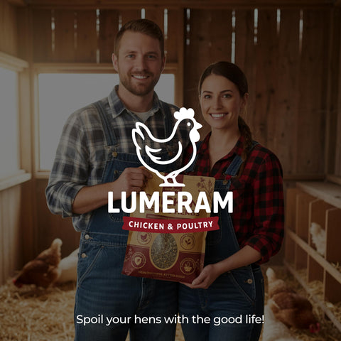 Fresh coop scent from LUMERAM nesting herbs in bedding.