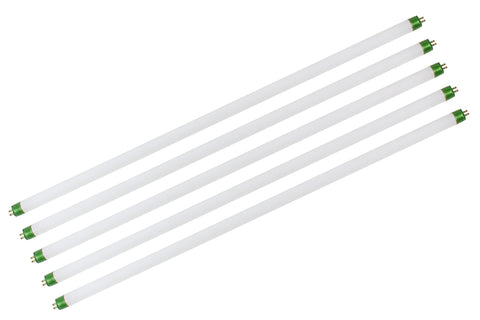 LumiaStar 6500k-full-spectrum-t5-tube provides daylight-like light for vegetative growth.