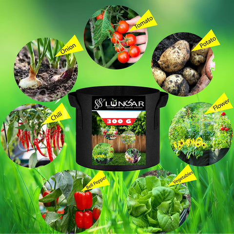 LUNGAR grow bags are washable and reusable for extended gardening use.