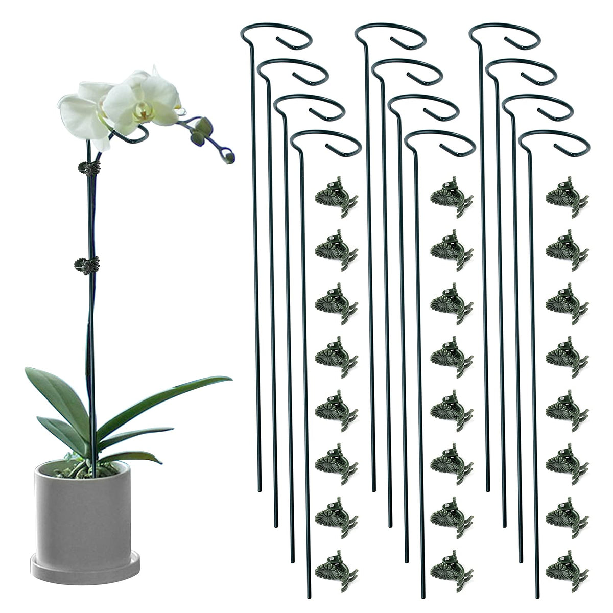 Lunhans 16 inch single stem stake supports upright growth for delicate garden stems
