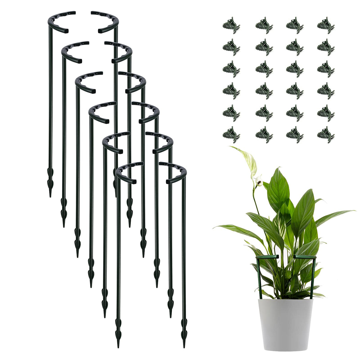 Lunhans half-round plant stake supports upright growth in pots