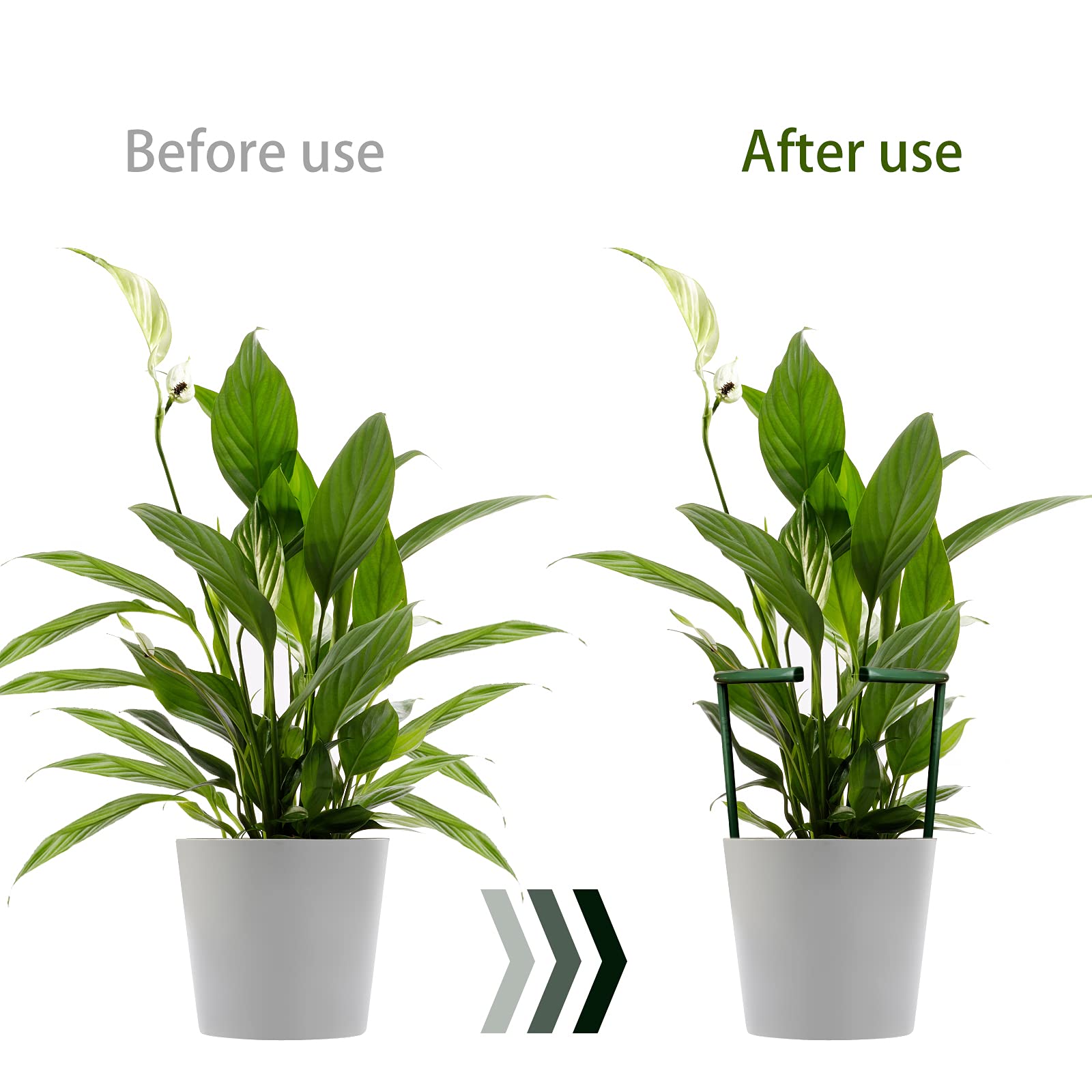 Lunhans 24 plant clips keep stems secure and tidy