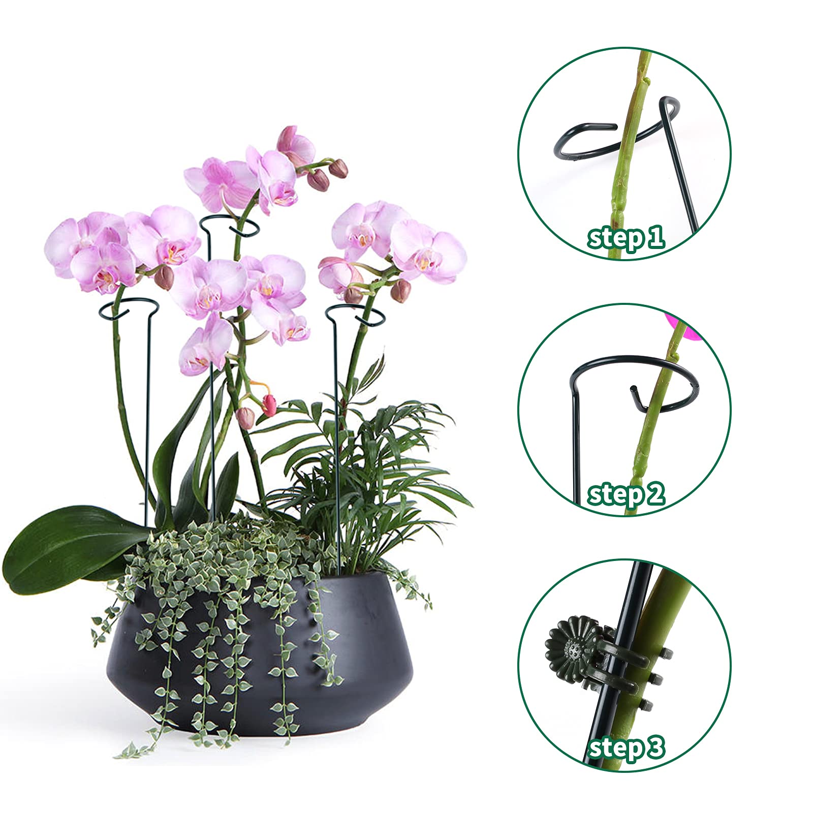 Lunhans stake supports roses orchids and tomatoes for better growth