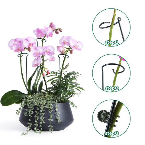 Lunhans stake supports roses orchids and tomatoes for better growth