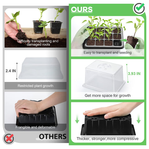 Lunies 12-cell seed tray provides organized spaces for uniform germination