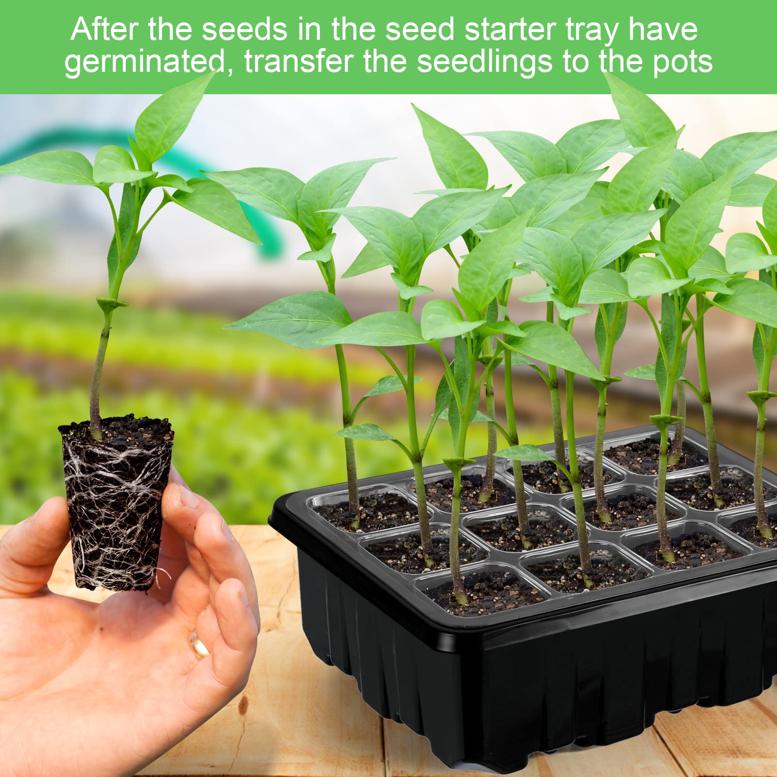Lunies base tray collects excess moisture for a tidy seed starting setup