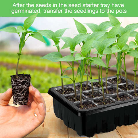 Lunies base tray collects excess moisture for a tidy seed starting setup