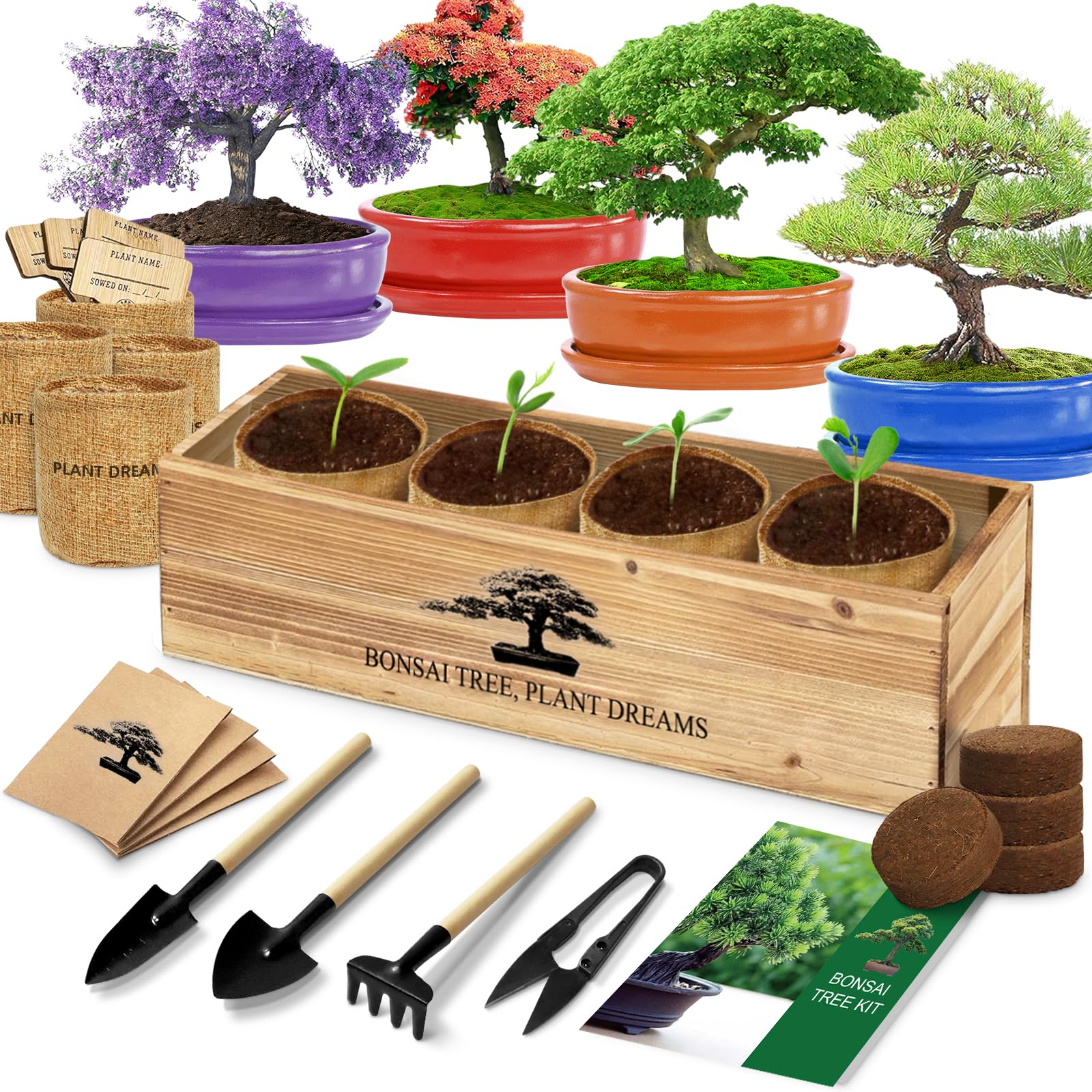LUOJIBIE Bonsai Starter Kit seeds and pots for beginner-friendly indoor cultivation.