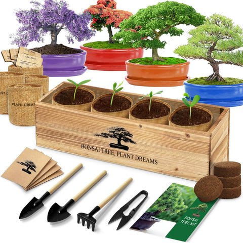 LUOJIBIE Bonsai Starter Kit seeds and pots for beginner-friendly indoor cultivation.