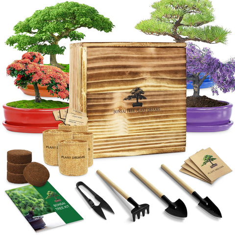 LUOJIBIE Bonsai starter kit box view, complete for beginners and easy to start.