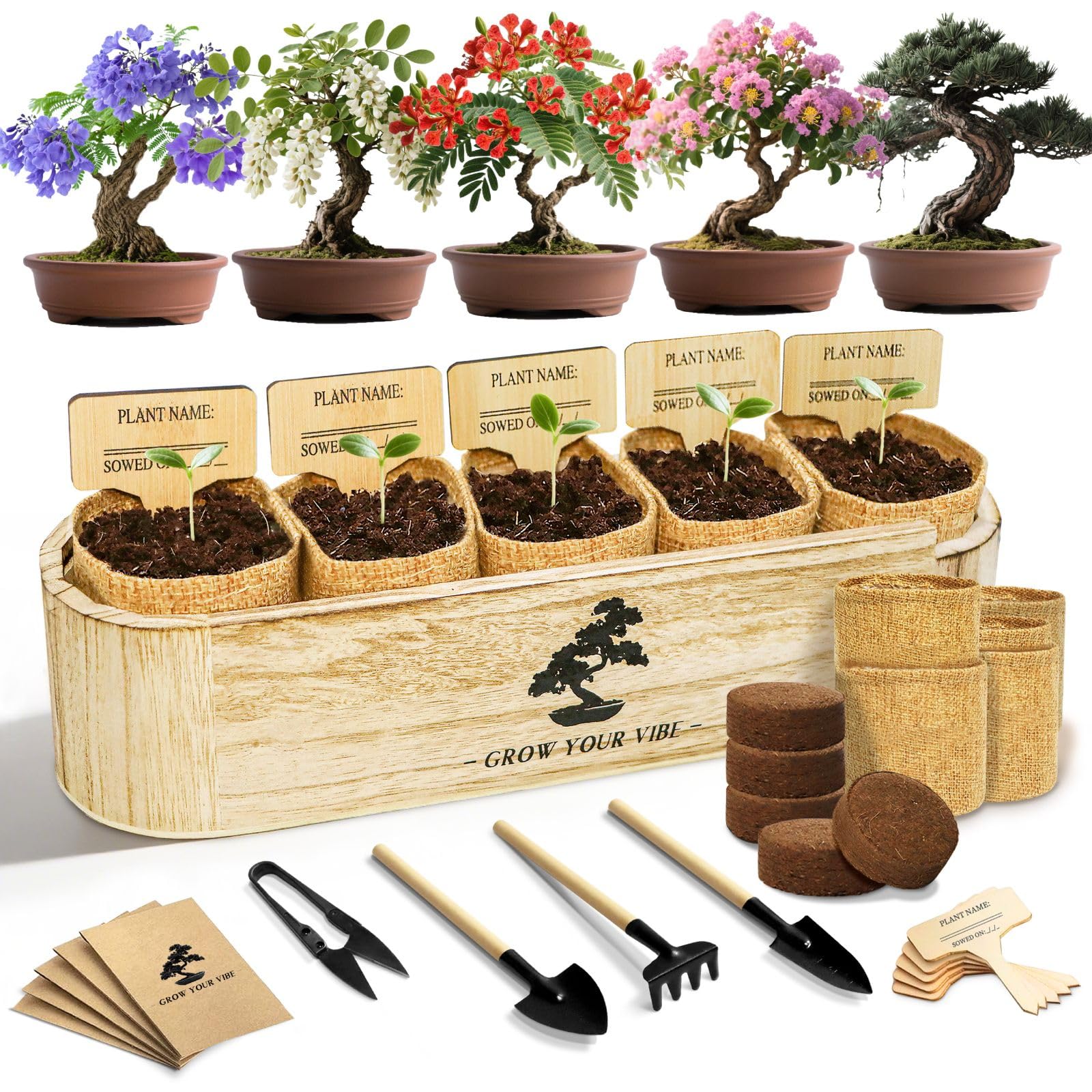 LUOJIBIE Bonsai Tree Kit box contents for stress-free starting hobby