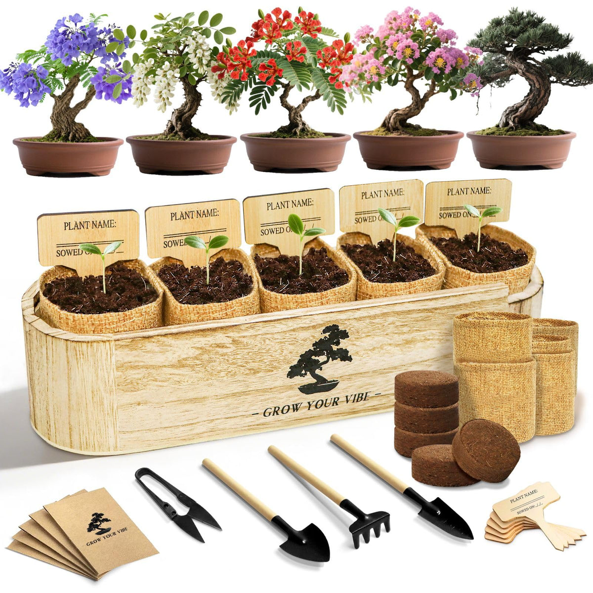 LUOJIBIE Bonsai Tree Kit box contents for stress-free starting hobby
