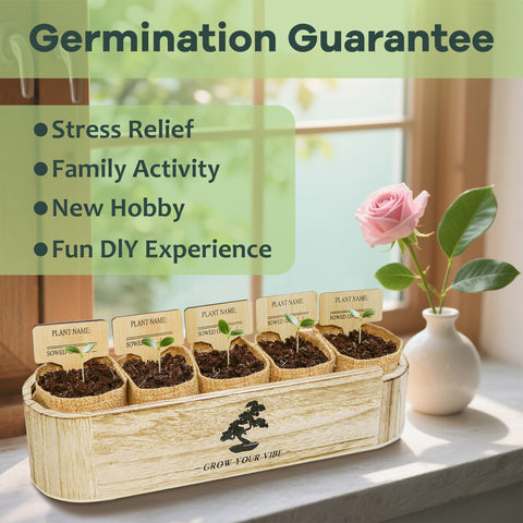 LUOJIBIE Bonsai Tree Kit instruction guide provides clear steps for confident beginners