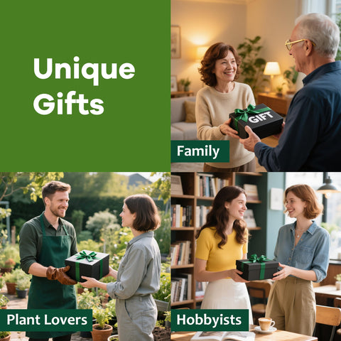 LUOJIBIE Bonsai Tree Kit varieties-crape-myrtle showcase color and texture for indoor display