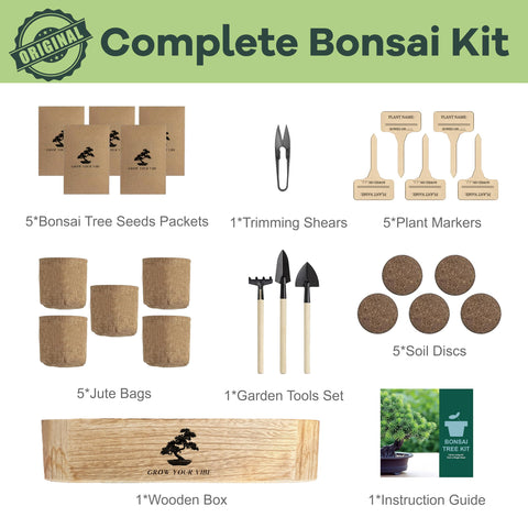 LUOJIBIE Bonsai Tree Kit varieties-phoenix-delonix highlights dramatic leaf patterns for a striking centerpiece