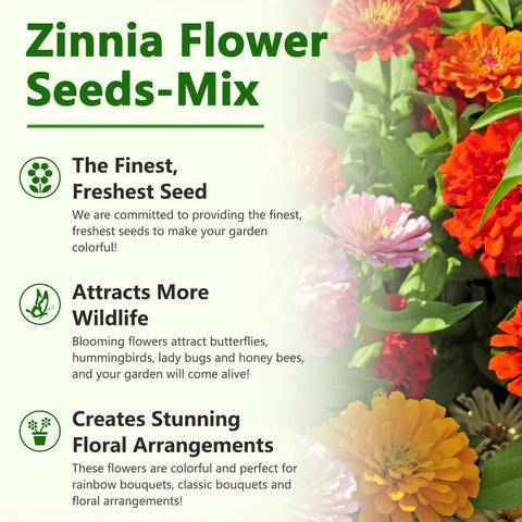 LUOJIBIE easy-to-grow zinnia seeds ideal for beginners and veterans