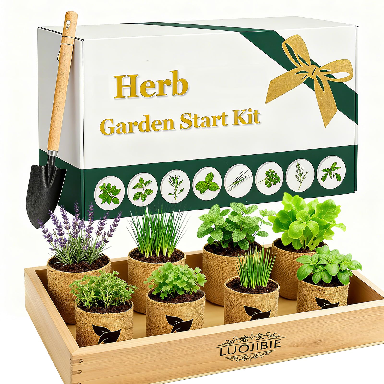 LUOJIBIE indoor herb garden kit box ready for gifting and unboxing