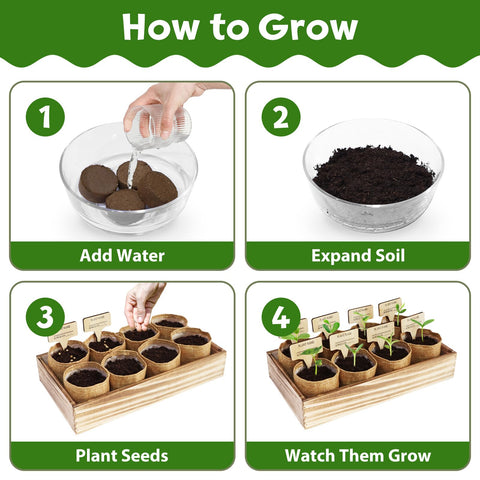 LUOJIBIE nutrient-rich soil discs expand with water for vibrant, sturdy growth.