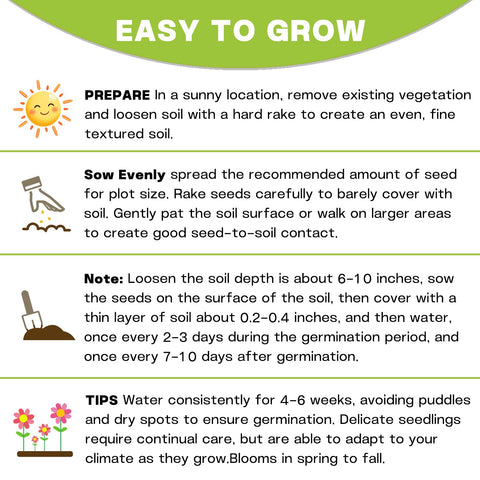 LUOJIBIE Zinnia eco-friendly packaging with planting instructions.