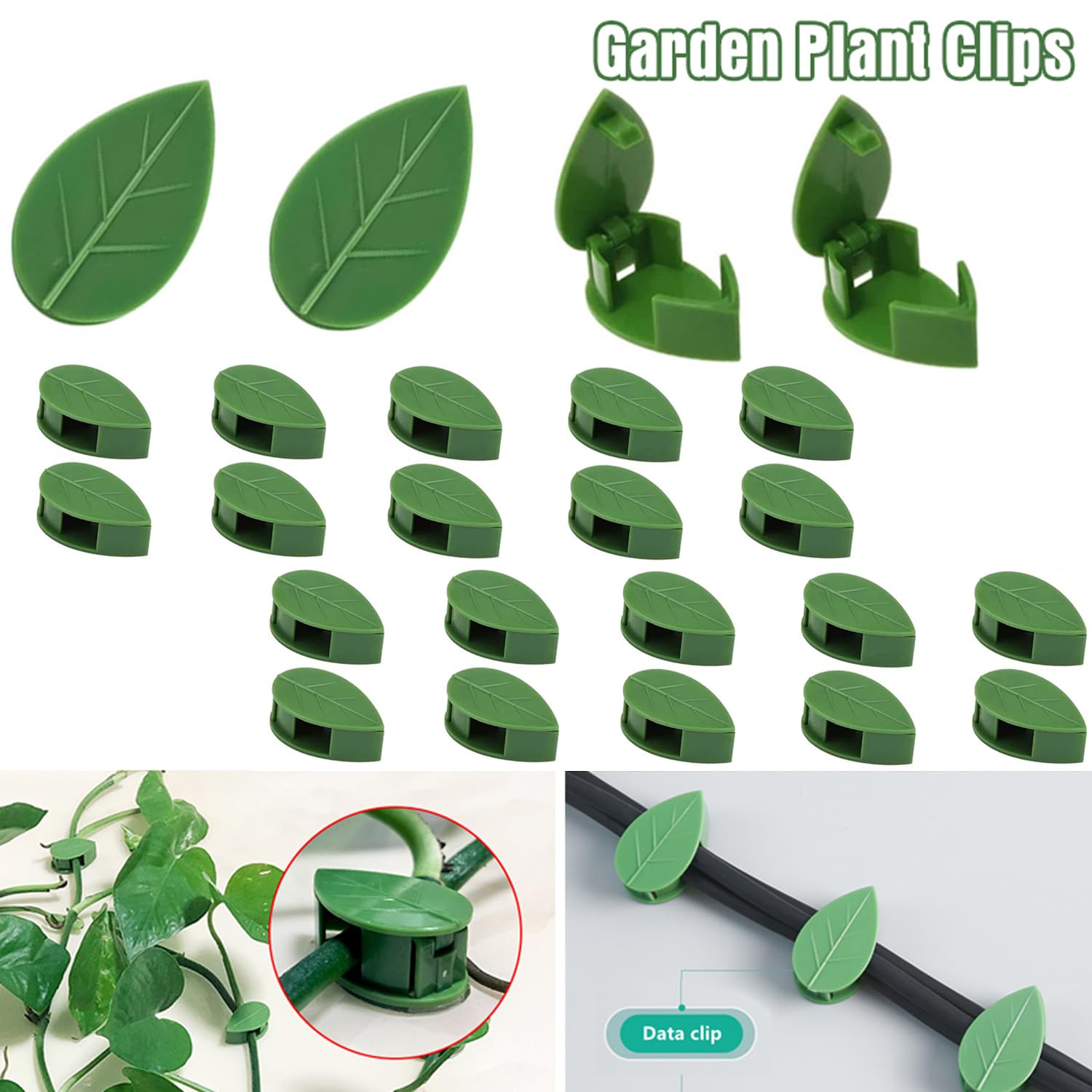 LUOTIVON ABS material wall clip offering durable plant support