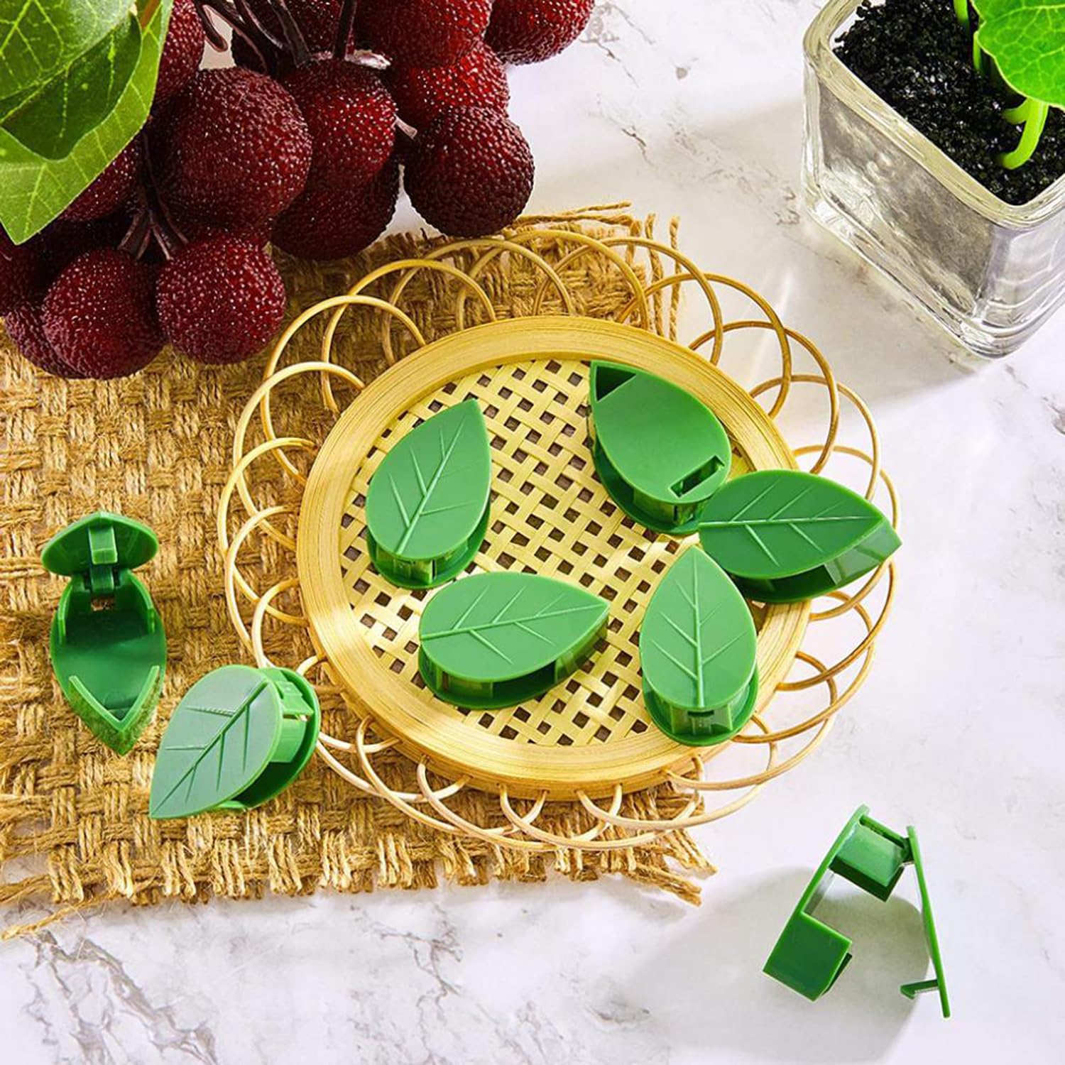LUOTIVON easy-to-use wall clips guiding vines without wall damage