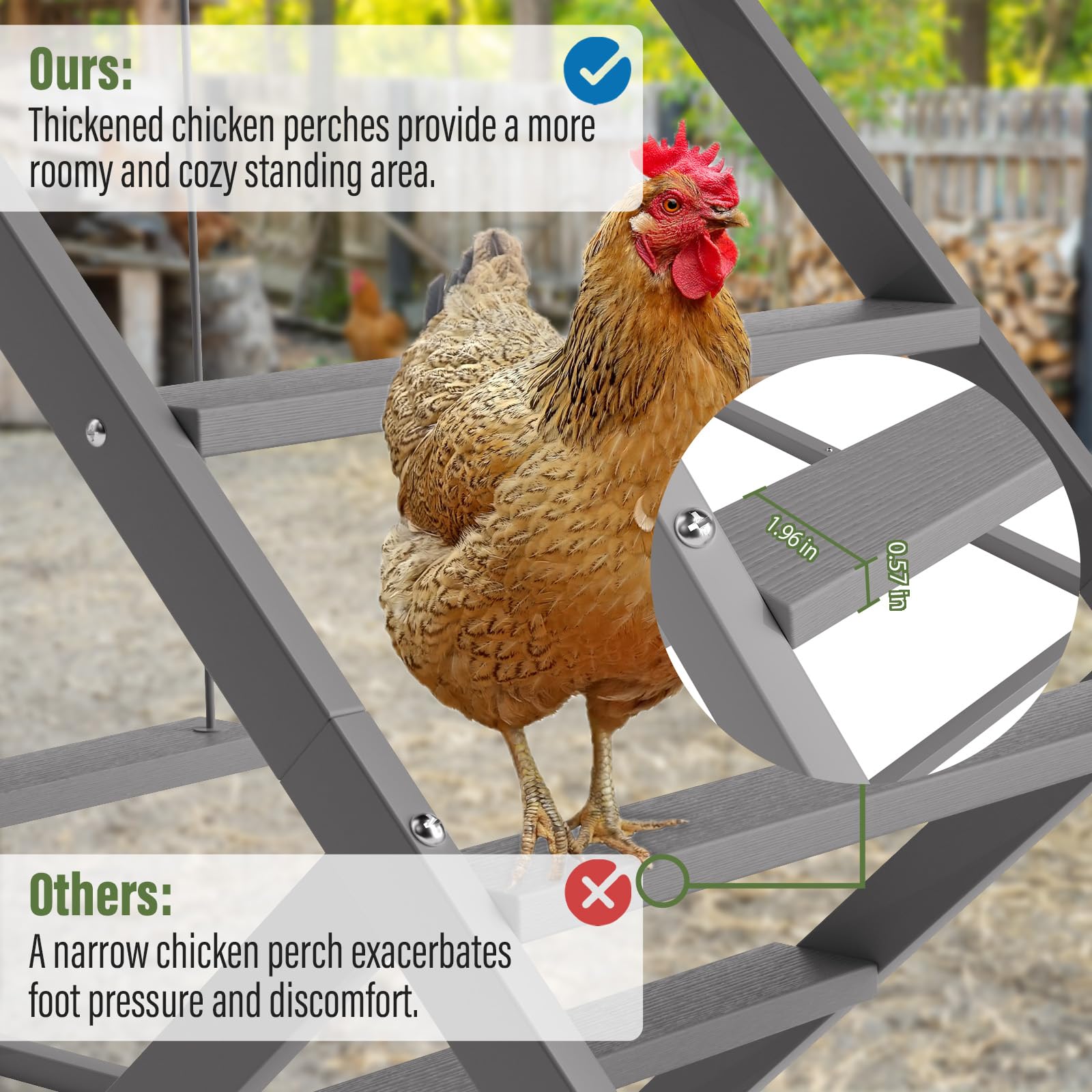 Luplom chicken activity center for movement and balance