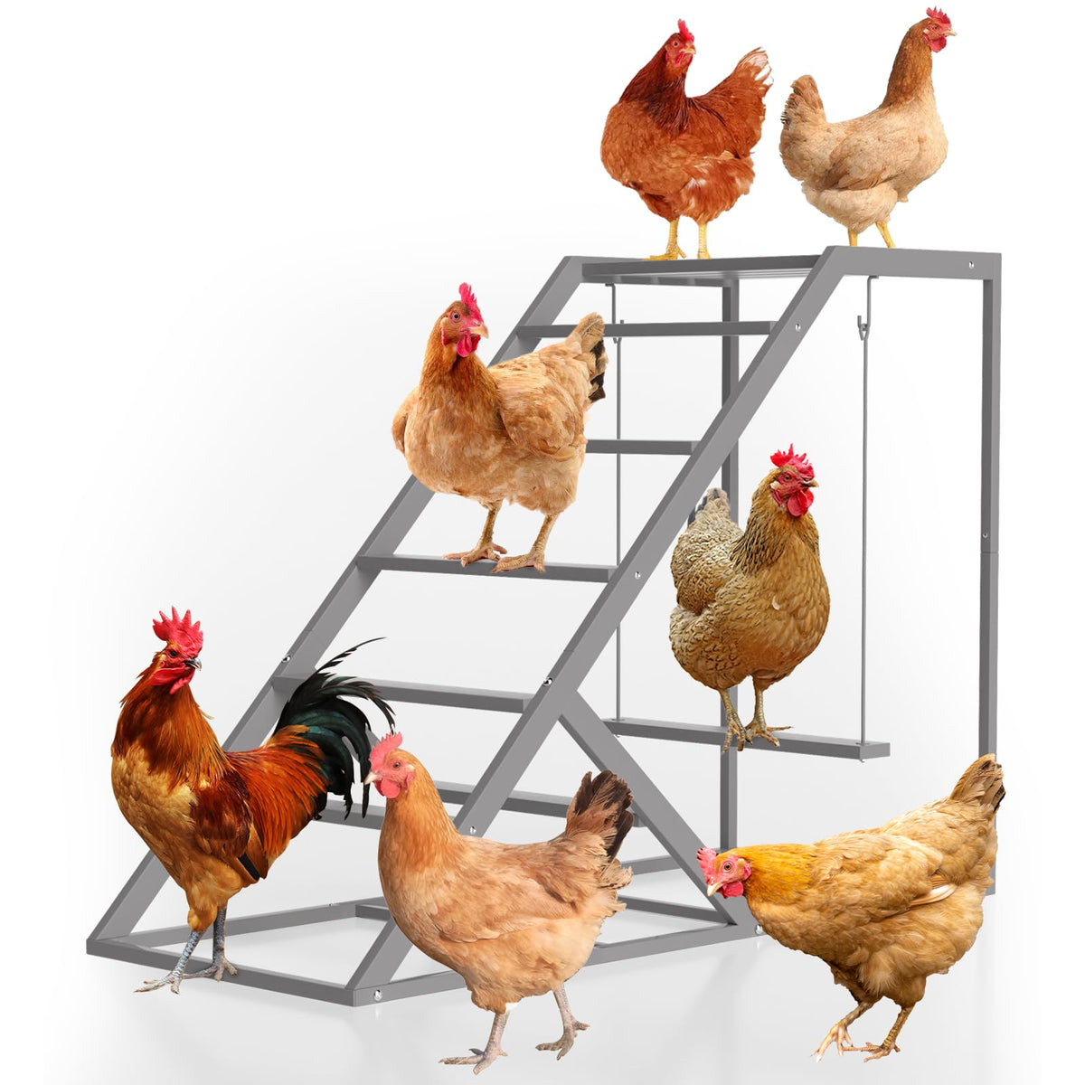 Luplom chicken perch with ladder and swing for coop enrichment