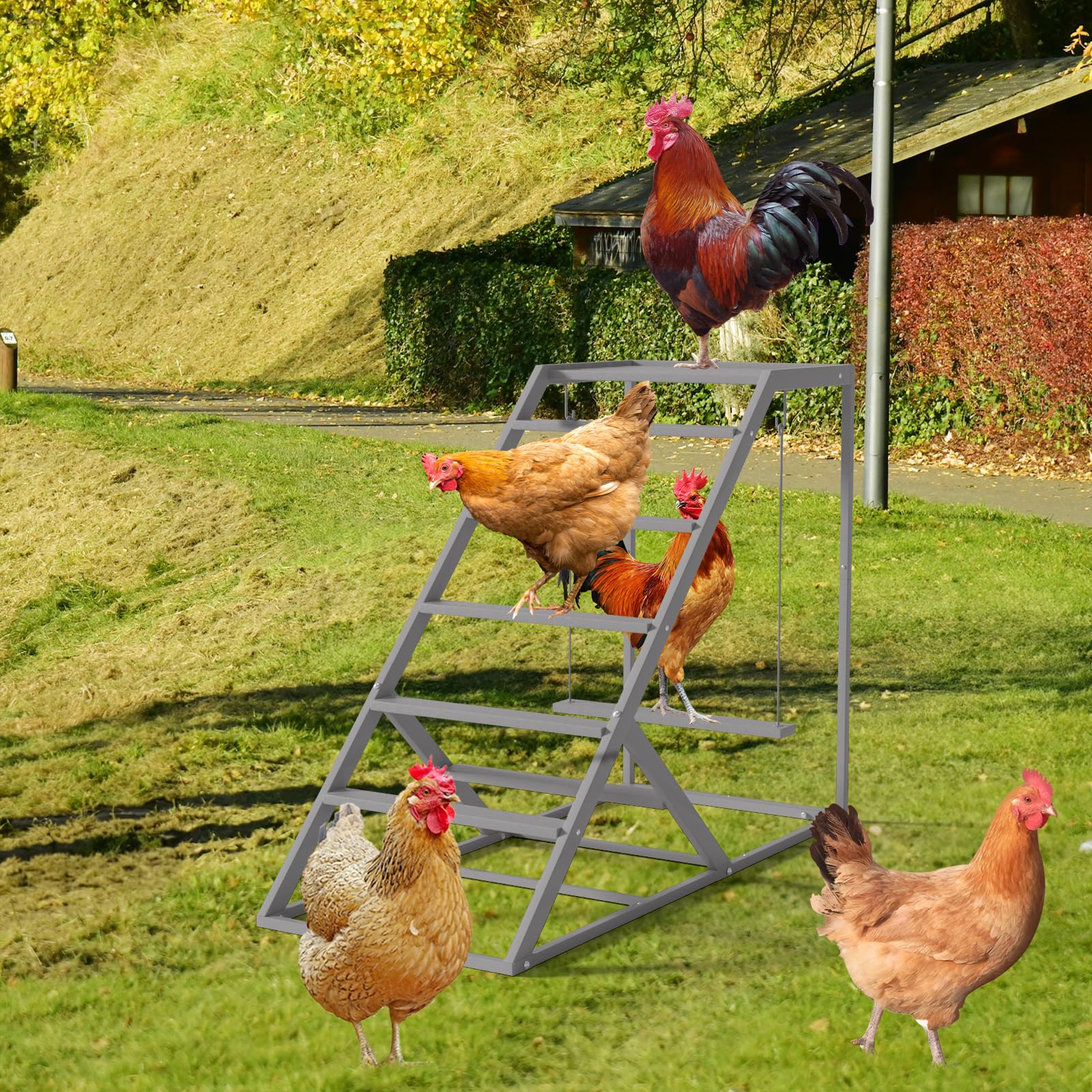 Luplom easy-assemble roost with clear instructions