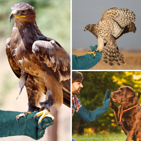 LURMMUE animal-handling gloves support calm handling of pets