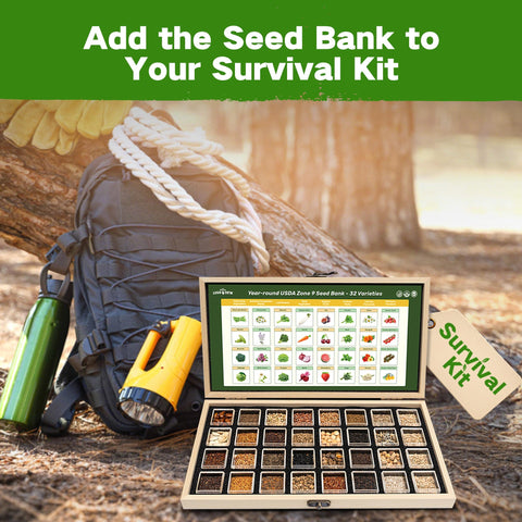 LushDew fruit seeds collection supports seasonal fruiting in diverse climates.
