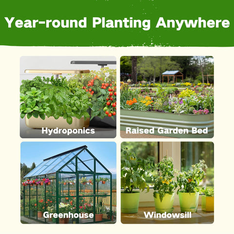 LushDew acrylic gift container showcases a thoughtful gardening gift idea.