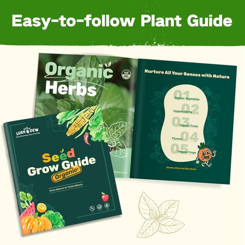 LushDew survival seed kit image speaks to preparedness and family gardening.