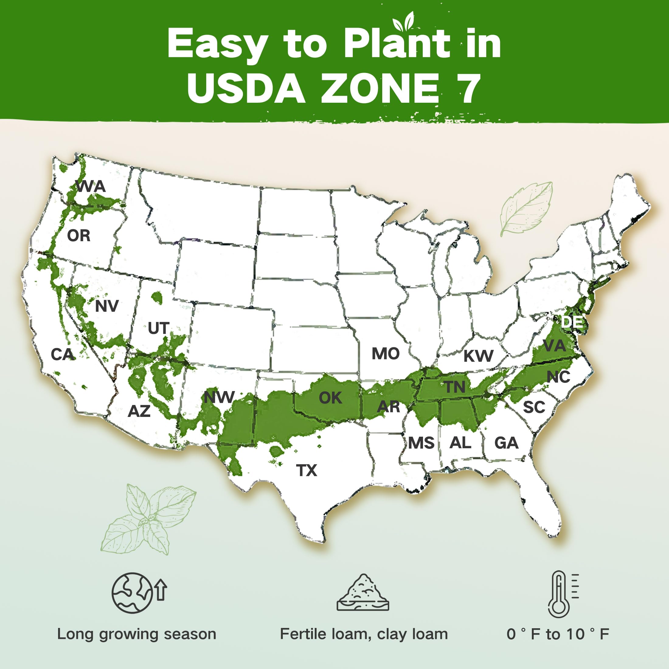 LushDew vegetable seeds varieties pack offers diverse year-round gardening options.