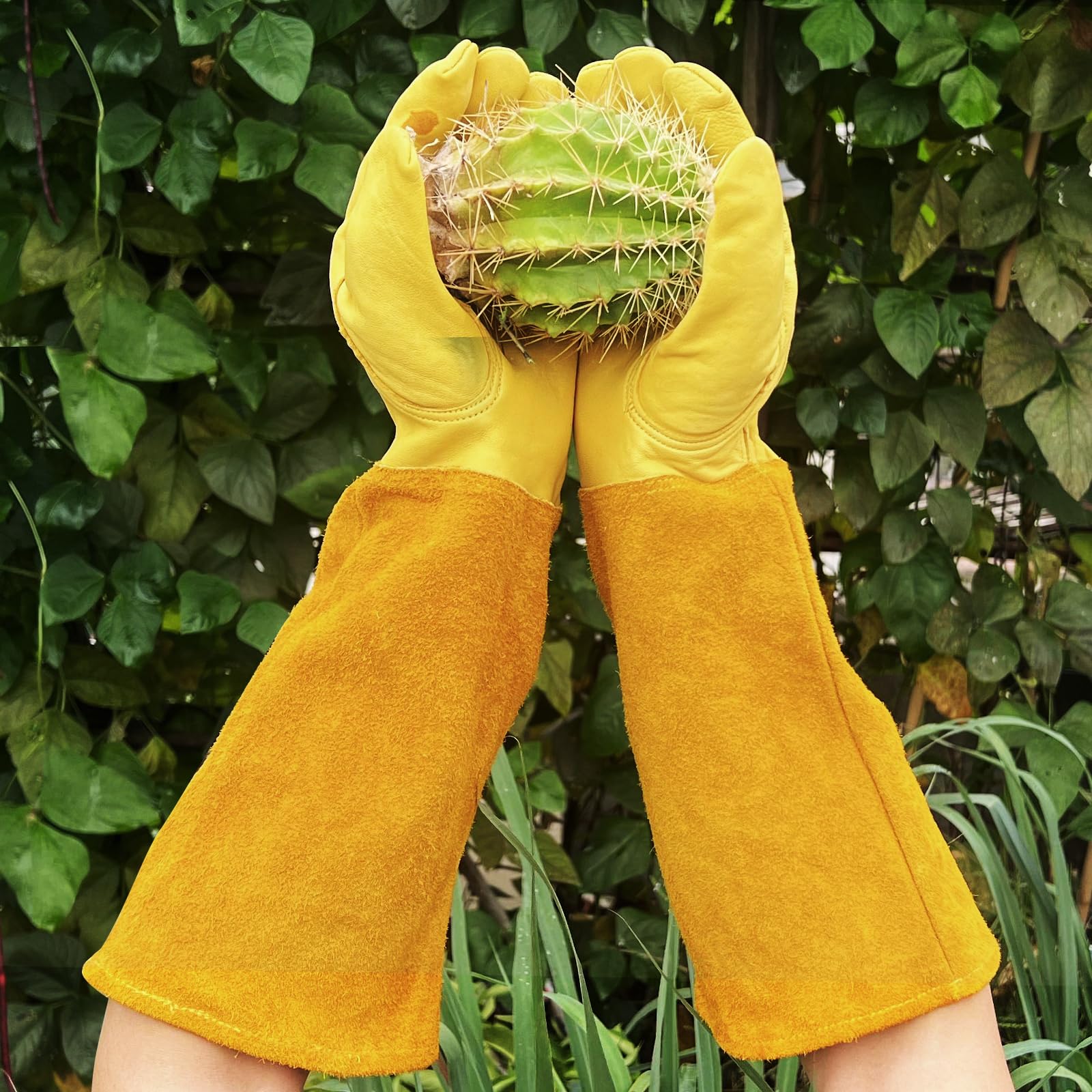 luvaswel Thorn Proof Gardening Gloves cactus handling flexible, breathable leather for prickly plants