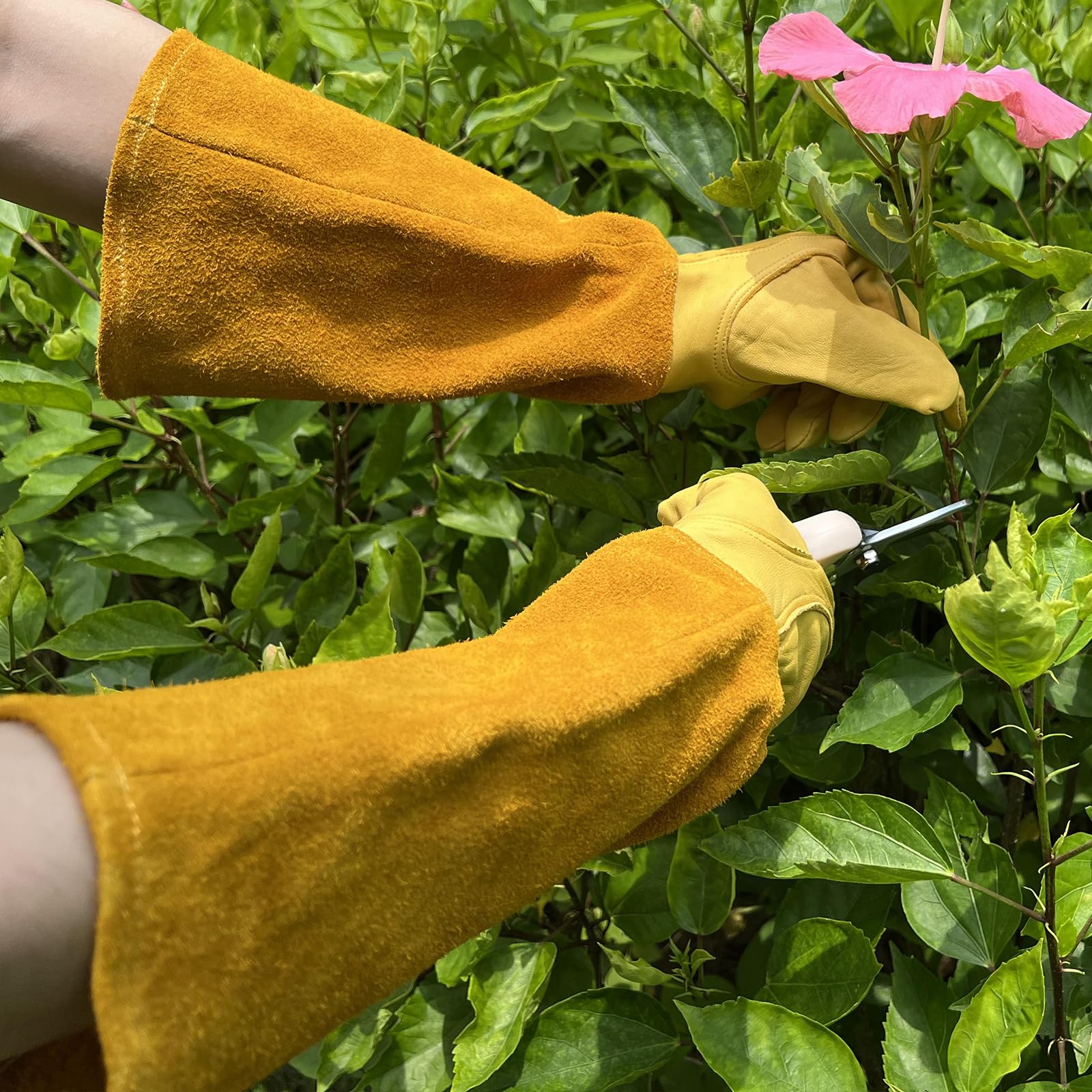 luvaswel Thorn Proof Gardening Gloves breathable cowhide for weeding and soil work