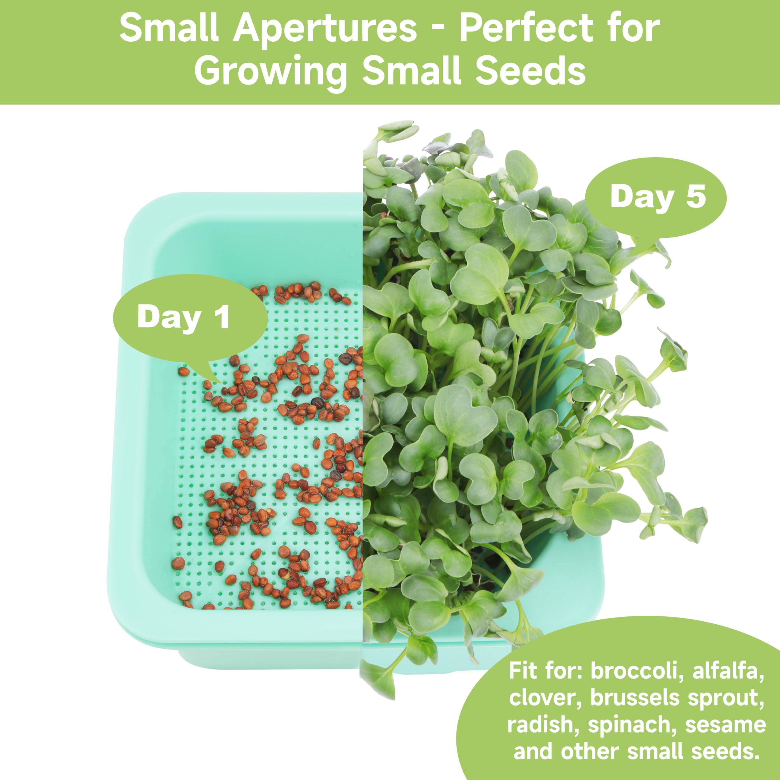 LUVCOSY BPA-free-material ensures safe, odorless sprouting sessions