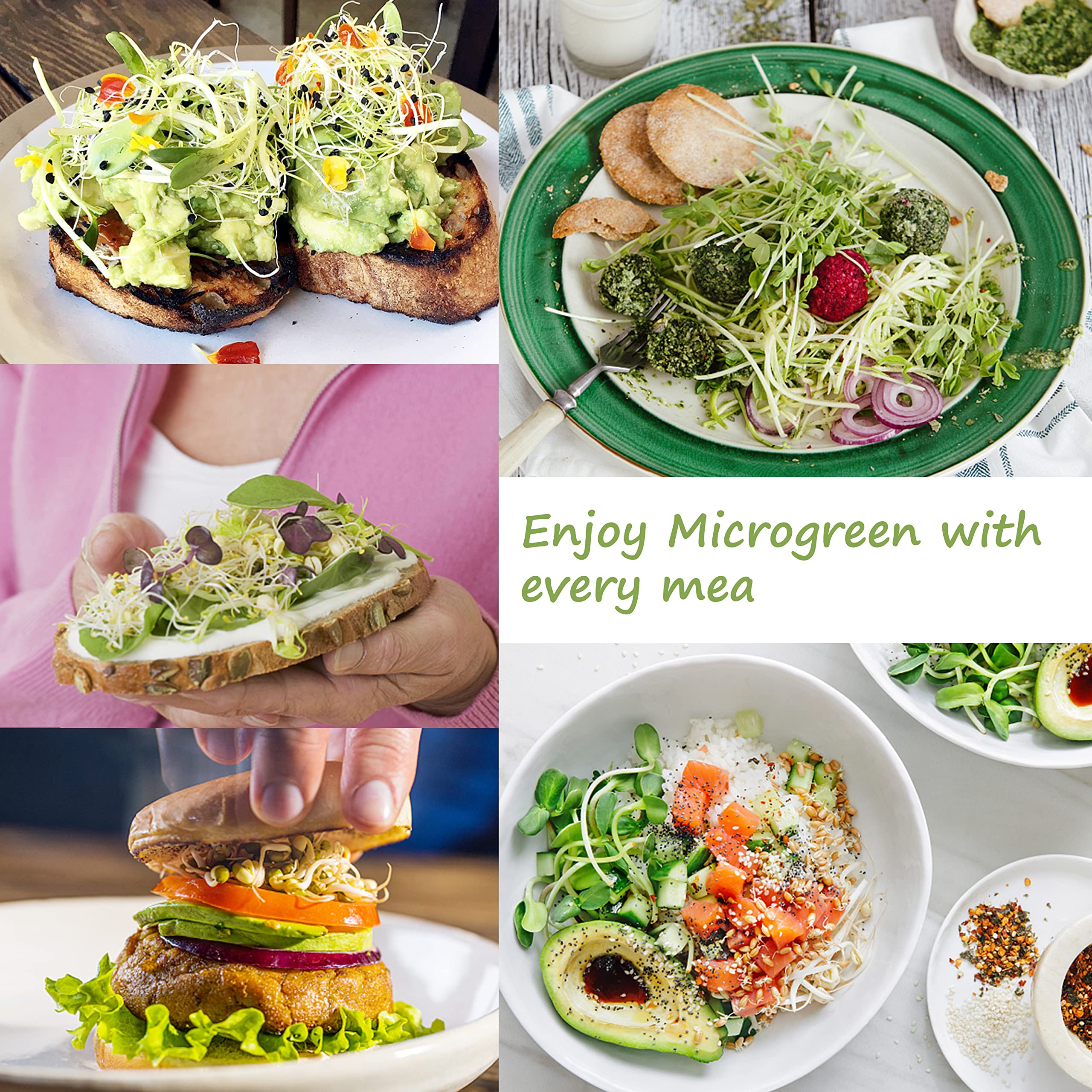 LUVCOSY cat-grass and microgreens kit for diverse home harvests