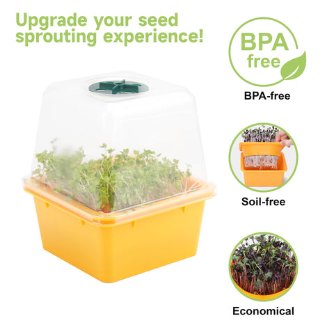 LUVCOSY humidity-dome helps maintain moisture for steady sprouts