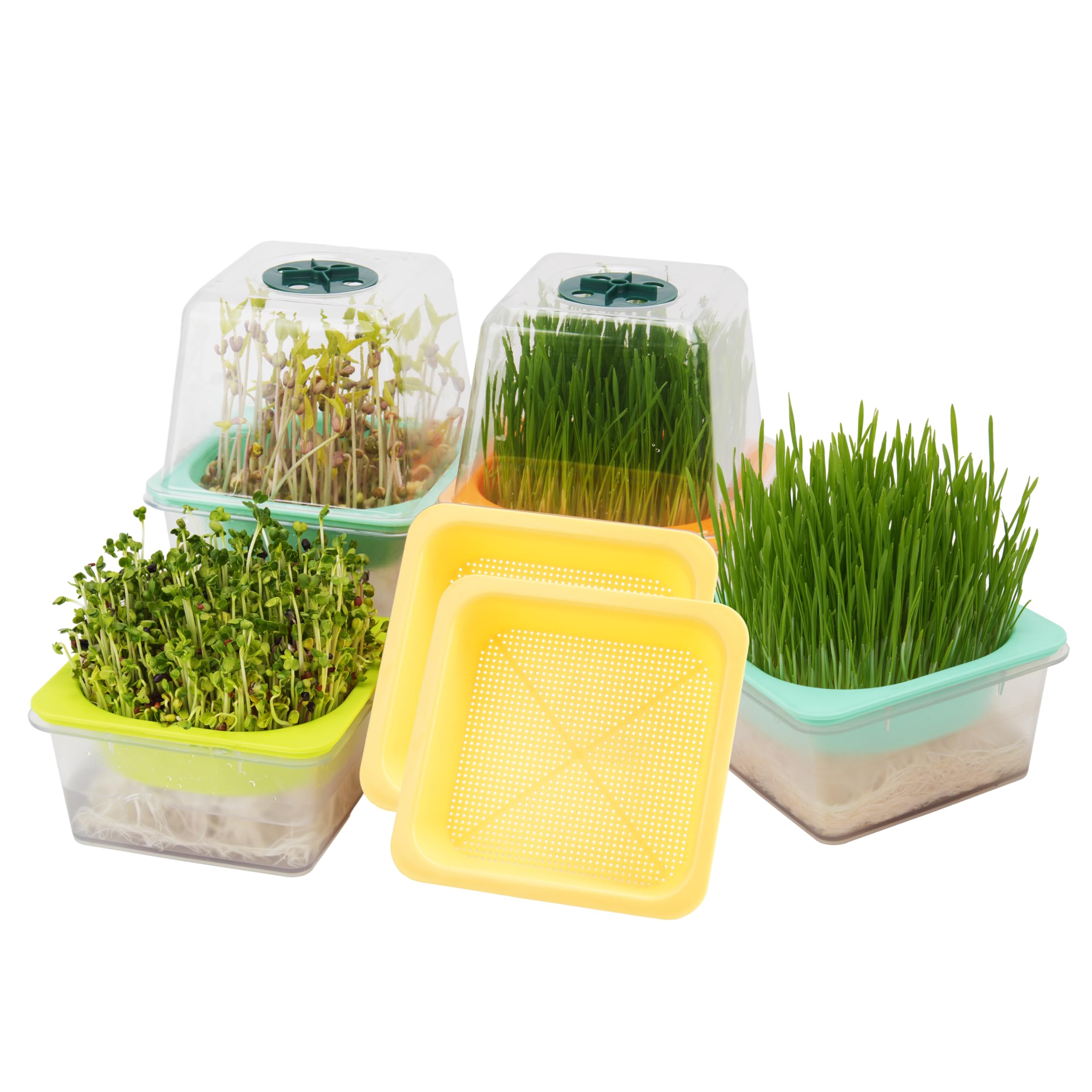 LUVCOSY microgreen trays set for easy countertop sprouting